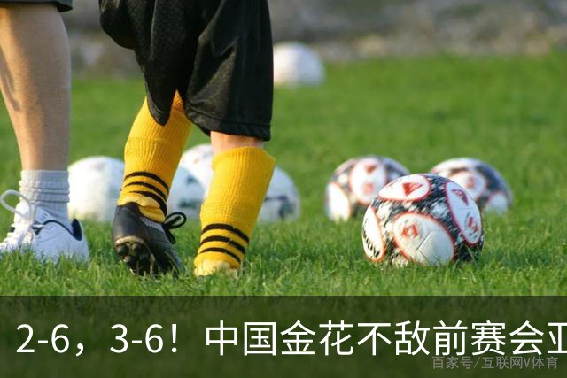 2-6，3-6！中国金花不敌前赛会亚军，止步WTA500宁波站女单首轮